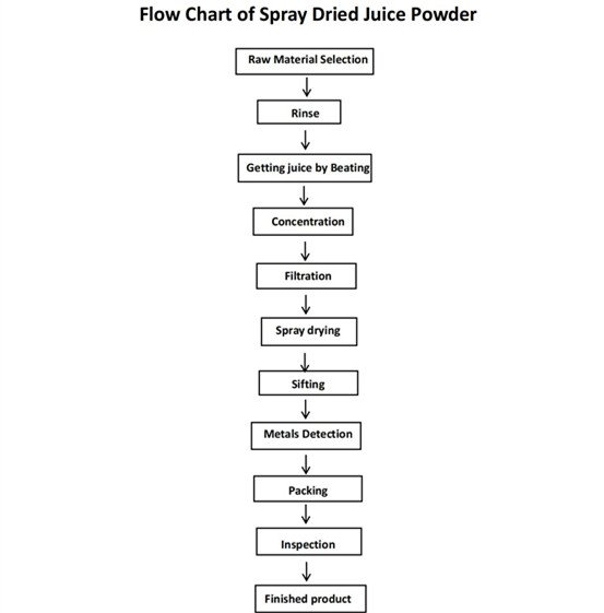 Blackcurrant Extract flow chart.png